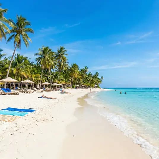 Ad Creatives Preset Vorschau