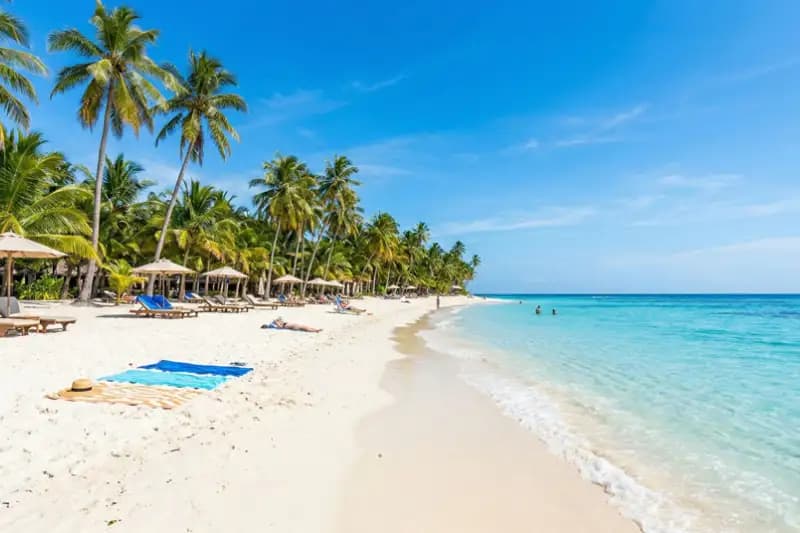 Website Standard Preset Vorschau